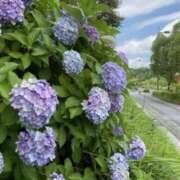 ヒメ日記 2025/06/19 06:20 投稿 大田智子 五十路マダム 愛されたい熟女たち 高松店