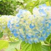 ヒメ日記 2025/06/21 06:38 投稿 大田智子 五十路マダム 愛されたい熟女たち 高松店