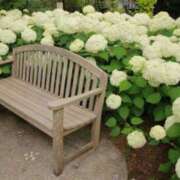 ヒメ日記 2025/06/22 06:50 投稿 大田智子 五十路マダム 愛されたい熟女たち 高松店