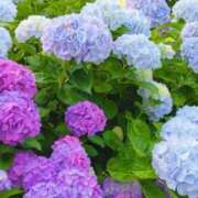 ヒメ日記 2025/06/23 06:20 投稿 大田智子 五十路マダム 愛されたい熟女たち 高松店