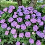 ヒメ日記 2025/06/25 06:30 投稿 大田智子 五十路マダム 愛されたい熟女たち 高松店