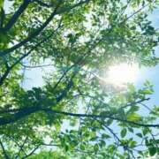 ヒメ日記 2025/06/25 07:22 投稿 大田智子 五十路マダム 愛されたい熟女たち 高松店