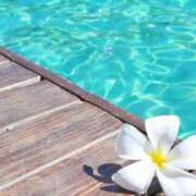 ヒメ日記 2025/07/04 06:20 投稿 大田智子 五十路マダム 愛されたい熟女たち 高松店