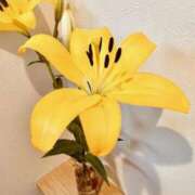 ヒメ日記 2025/07/09 06:28 投稿 大田智子 五十路マダム 愛されたい熟女たち 高松店