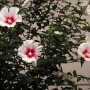 ヒメ日記 2025/07/10 06:36 投稿 大田智子 五十路マダム 愛されたい熟女たち 高松店