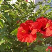 ヒメ日記 2025/07/11 06:20 投稿 大田智子 五十路マダム 愛されたい熟女たち 高松店