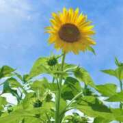 ヒメ日記 2025/07/14 06:20 投稿 大田智子 五十路マダム 愛されたい熟女たち 高松店