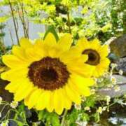 ヒメ日記 2025/07/16 06:28 投稿 大田智子 五十路マダム 愛されたい熟女たち 高松店