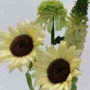 ヒメ日記 2025/07/18 06:42 投稿 大田智子 五十路マダム 愛されたい熟女たち 高松店