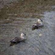 ヒメ日記 2025/07/21 21:52 投稿 大田智子 五十路マダム 愛されたい熟女たち 高松店