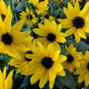 ヒメ日記 2025/07/26 06:20 投稿 大田智子 五十路マダム 愛されたい熟女たち 高松店