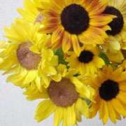 ヒメ日記 2025/07/27 06:30 投稿 大田智子 五十路マダム 愛されたい熟女たち 高松店