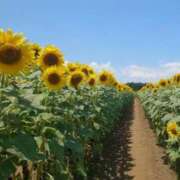 ヒメ日記 2025/07/28 06:20 投稿 大田智子 五十路マダム 愛されたい熟女たち 高松店