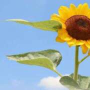 ヒメ日記 2025/07/30 06:20 投稿 大田智子 五十路マダム 愛されたい熟女たち 高松店