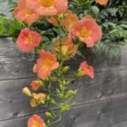 ヒメ日記 2025/08/03 06:20 投稿 大田智子 五十路マダム 愛されたい熟女たち 高松店