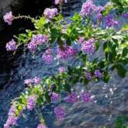 ヒメ日記 2025/08/04 06:20 投稿 大田智子 五十路マダム 愛されたい熟女たち 高松店