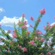 ヒメ日記 2025/08/05 06:20 投稿 大田智子 五十路マダム 愛されたい熟女たち 高松店