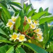 ヒメ日記 2025/08/08 06:22 投稿 大田智子 五十路マダム 愛されたい熟女たち 高松店