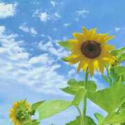 ヒメ日記 2025/08/10 06:20 投稿 大田智子 五十路マダム 愛されたい熟女たち 高松店