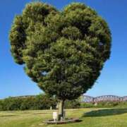 ヒメ日記 2025/08/11 19:04 投稿 大田智子 五十路マダム 愛されたい熟女たち 高松店