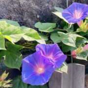 ヒメ日記 2025/08/16 06:22 投稿 大田智子 五十路マダム 愛されたい熟女たち 高松店