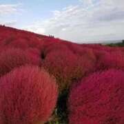 ヒメ日記 2025/10/30 18:06 投稿 大田智子 五十路マダム 愛されたい熟女たち 高松店