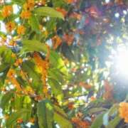 ヒメ日記 2025/11/04 18:06 投稿 大田智子 五十路マダム 愛されたい熟女たち 高松店