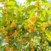 ヒメ日記 2025/11/07 18:06 投稿 大田智子 五十路マダム 愛されたい熟女たち 高松店