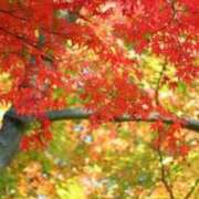 ヒメ日記 2025/11/15 17:04 投稿 大田智子 五十路マダム 愛されたい熟女たち 高松店