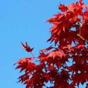 ヒメ日記 2025/11/22 18:06 投稿 大田智子 五十路マダム 愛されたい熟女たち 高松店