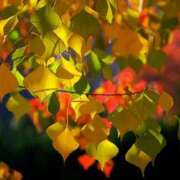 ヒメ日記 2025/11/28 18:08 投稿 大田智子 五十路マダム 愛されたい熟女たち 高松店