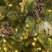 ヒメ日記 2025/12/12 18:18 投稿 大田智子 五十路マダム 愛されたい熟女たち 高松店