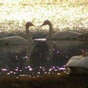 ヒメ日記 2025/12/27 20:08 投稿 大田智子 五十路マダム 愛されたい熟女たち 高松店