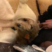 ヒメ日記 2025/01/13 10:25 投稿 めぐ 綺麗なお姉様専門　町田リング4C（アンジェリークグループ）