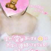 ヒメ日記 2024/12/21 12:25 投稿 みらい シルクハット