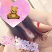 ヒメ日記 2024/12/21 18:45 投稿 みらい シルクハット