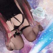 ヒメ日記 2024/12/30 19:05 投稿 みらい シルクハット