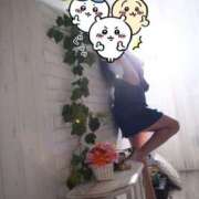 ヒメ日記 2025/02/15 15:35 投稿 みらい シルクハット