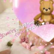 ヒメ日記 2025/03/23 01:26 投稿 みらい シルクハット