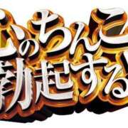 ヒメ日記 2025/04/10 00:00 投稿 みらい シルクハット