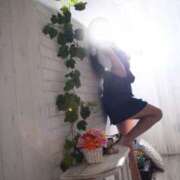 ヒメ日記 2025/07/28 23:44 投稿 みらい シルクハット