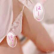 ヒメ日記 2025/11/08 06:00 投稿 みらい シルクハット