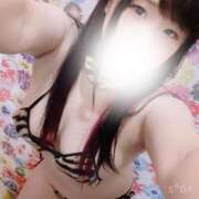 ヒメ日記 2025/11/11 04:15 投稿 みらい シルクハット