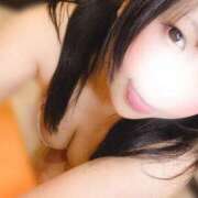 ヒメ日記 2025/11/27 08:01 投稿 みらい シルクハット