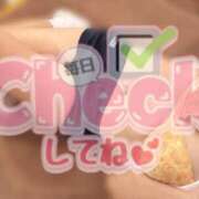 ヒメ日記 2025/11/30 10:46 投稿 みらい シルクハット