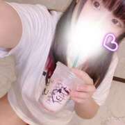 ヒメ日記 2025/12/25 10:01 投稿 みらい シルクハット