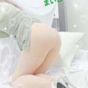 ヒメ日記 2025/10/24 07:32 投稿 まいこ 完熟ばなな千葉店