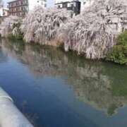 ヒメ日記 2025/04/06 10:54 投稿 るな かわいい熟女＆おいしい人妻 鶯谷店