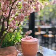 ヒメ日記 2025/03/07 09:16 投稿 ちさ 胡蝶蘭