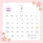 ヒメ日記 2025/04/03 00:19 投稿 ちさ 胡蝶蘭